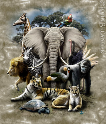 Zoo Collage.jpg