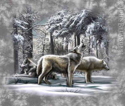 Wolf Winter Scene.jpg