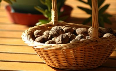 walnuts in basket