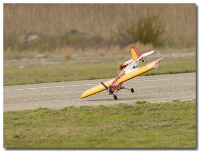 _DSC3217m.jpg