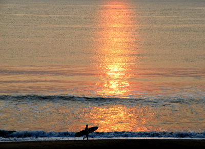 Surfer Virginia Beach