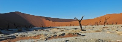 Inside the vlei