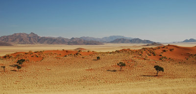 NamibRand landscape