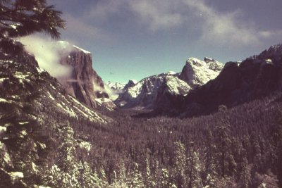 img019a1.jpg