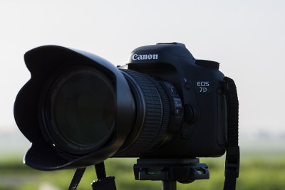 7D