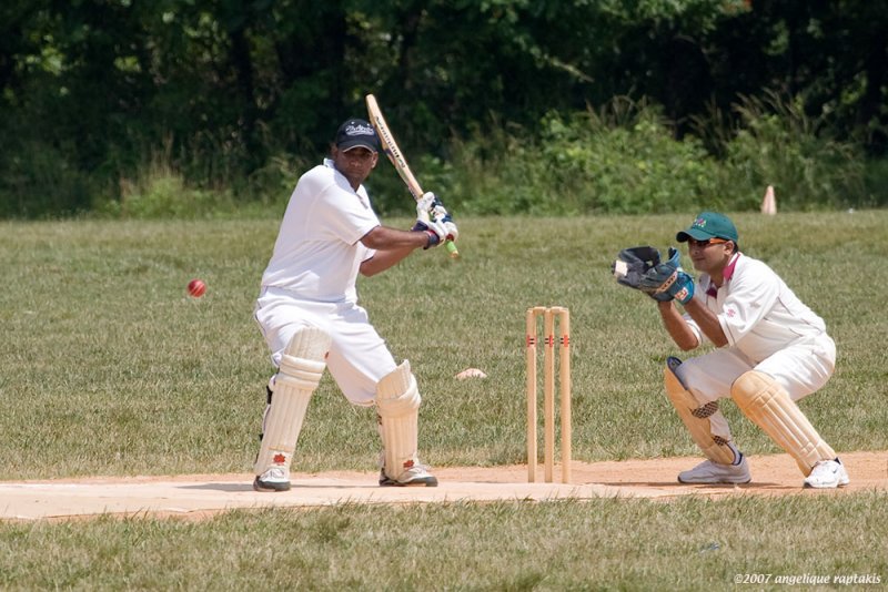 _MG_4078 cricket cw.jpg