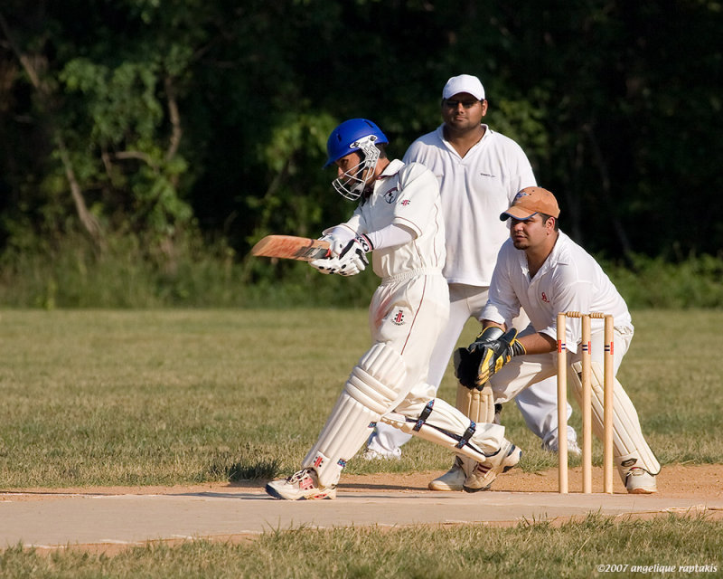 _MG_4143 cricket rcH cw.jpg