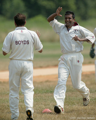 EDBT2161 cricket w.jpg