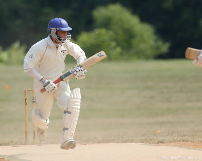 EDBT2252 cricket w.jpg