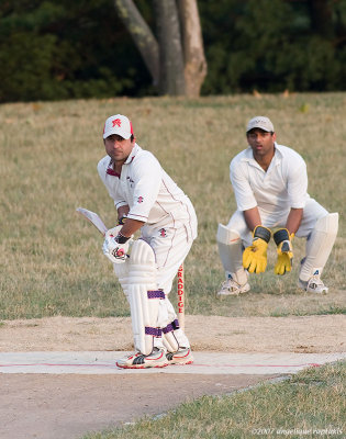 _MG_6293 cricket w.jpg
