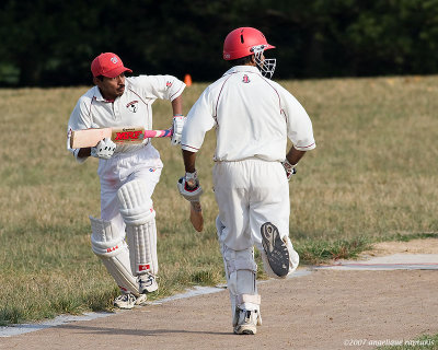 _MG_5978 cricket cHw.jpg