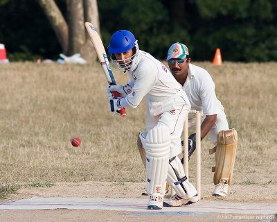 _MG_7406 cricket rcw.jpg