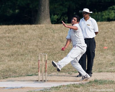 _MG_7781 cricket cw.jpg