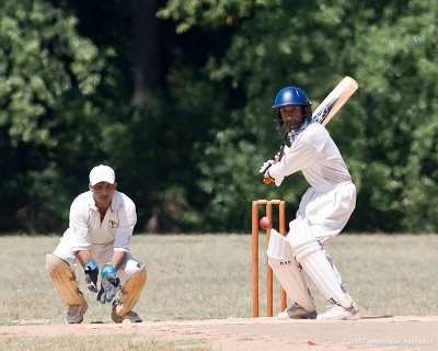 _MG_9265 cricket cw.jpg