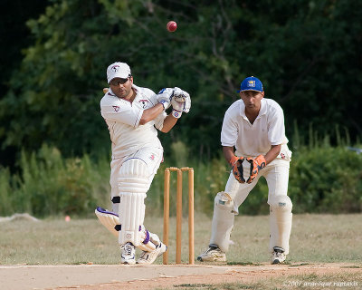 _MG_9496 cricket cw.jpg
