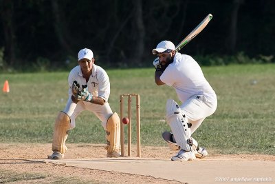 _ADR6255 cricket cw.jpg