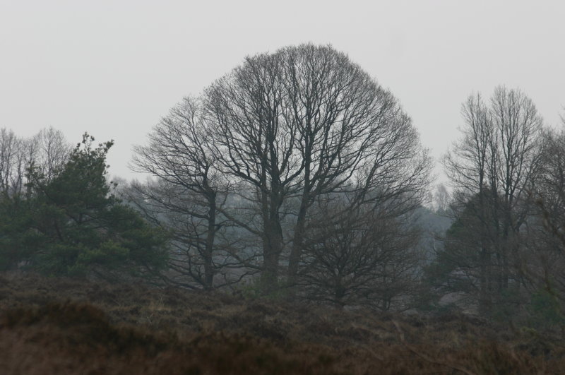 holterberg