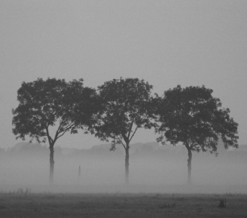 waterland