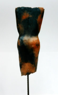 Body