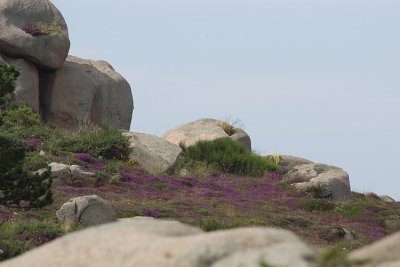 Sentier des douaniers