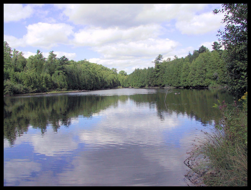 Calm Waters
