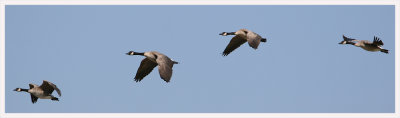 October 2006 Picture of the Month Entries