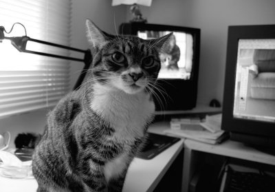 5697 Pay attention to me!