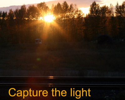 November 2006 Picture of the Month Entries