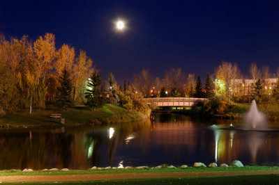In the Still of the Night