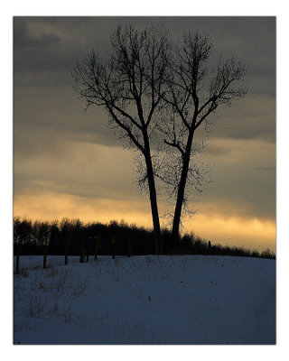 Last Light
