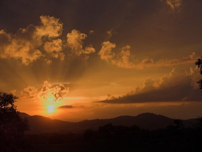 Golden sunset