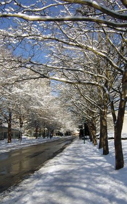snow scene