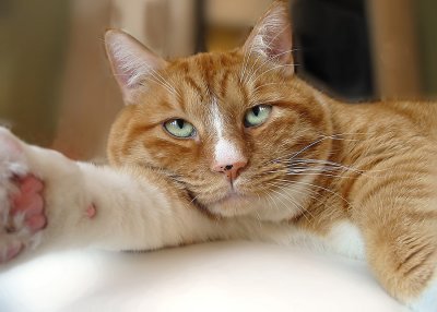 Here's a thought - stop taking my picture...or else