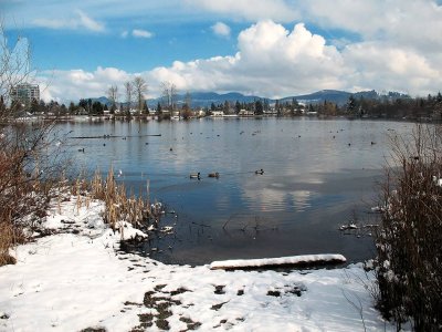 Winter calm