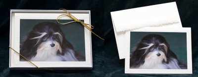 Havanese Notecards