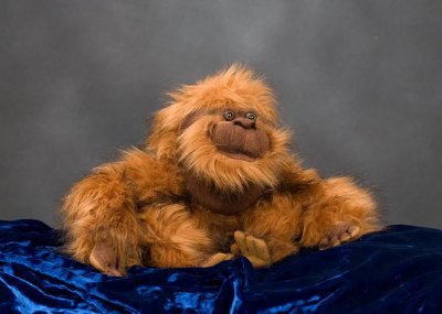 _MG_8754 Orangutan