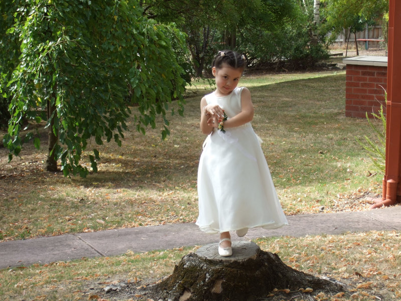 wedding 185.jpg