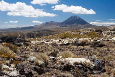 Mt. Ngauruhoe