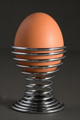 Egg in eggcup (2/10/07)