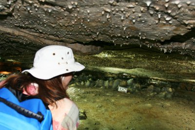 IMG_1232.jpg
