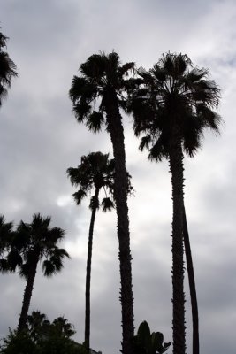 IMG_6555.jpg