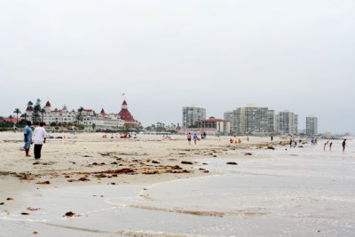 IMG_6610.jpg