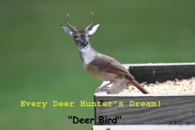Every Deer Hunters Dream