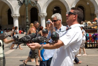 Piazza San Marco - Doves