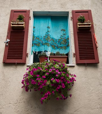 Window