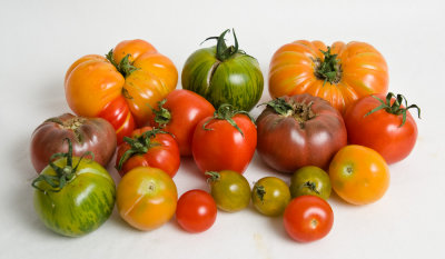Tomatoes