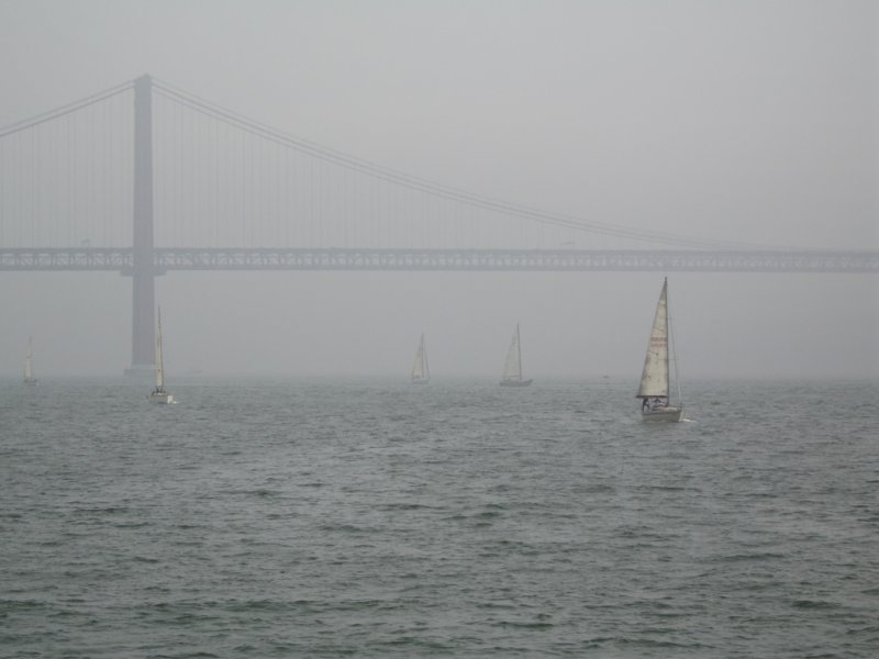 IMG_2601a.jpg