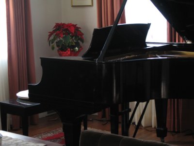 Steinway_1.jpg