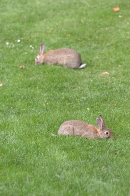 DSC_0024a.jpg