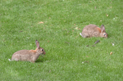 DSC_0028a.jpg